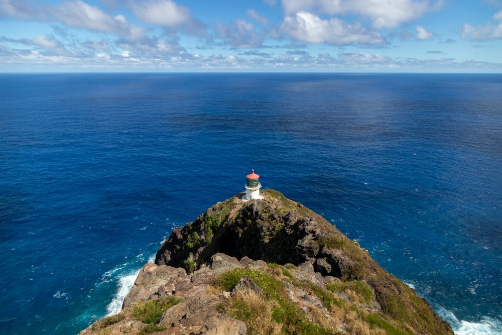 Makapu’u Point whale watching oahu