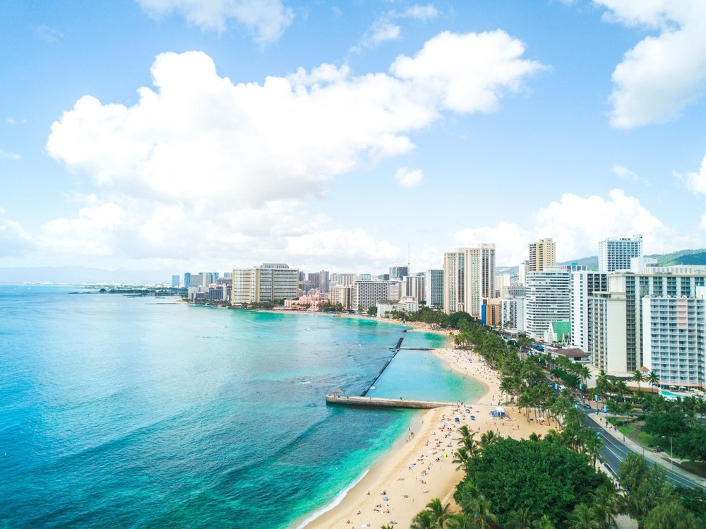 Waikiki Beach whale watching oahu